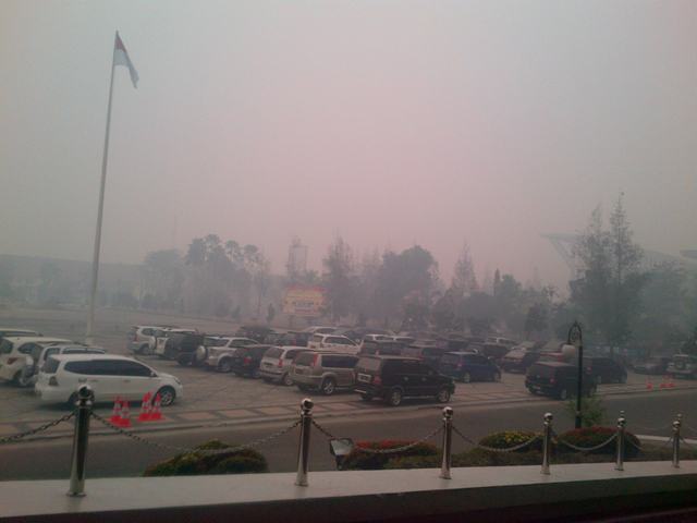 Besok, Diskes Riau dan Diskes Kabupaten/Kota Bahas Kondisi Asap